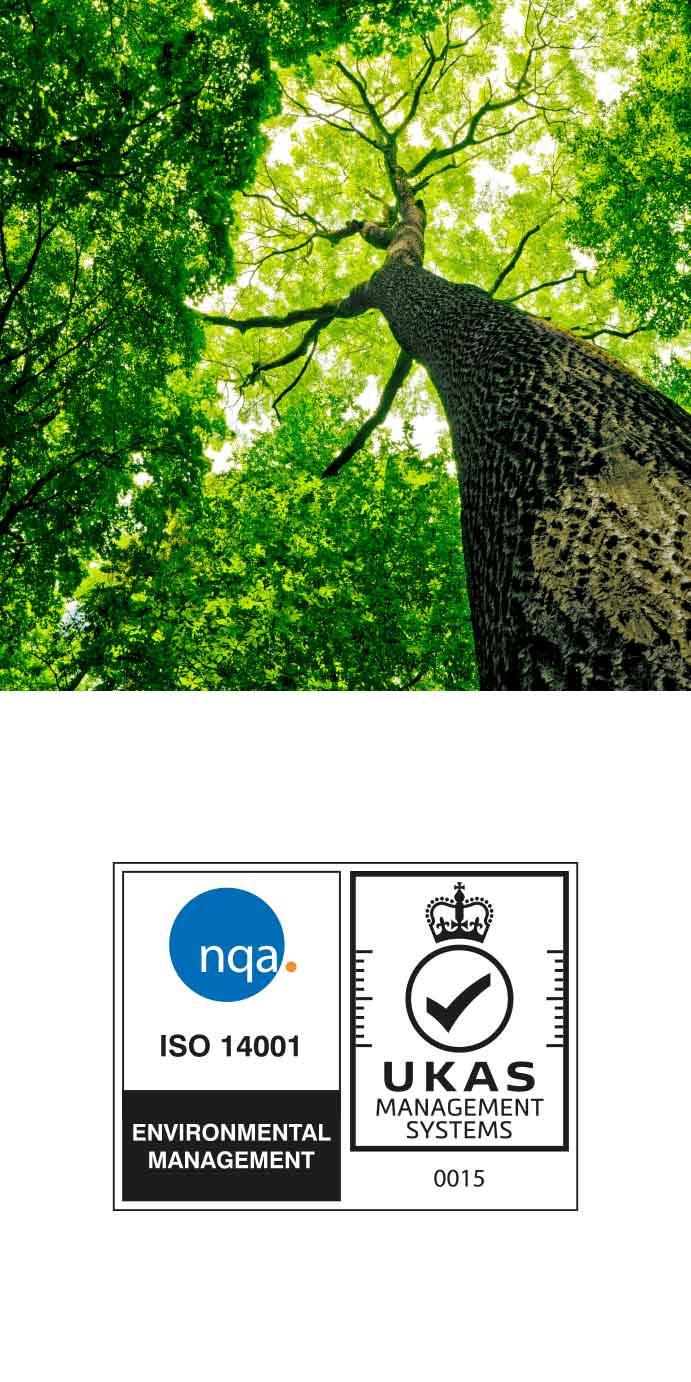 Image of trees and ISO 14001 logo